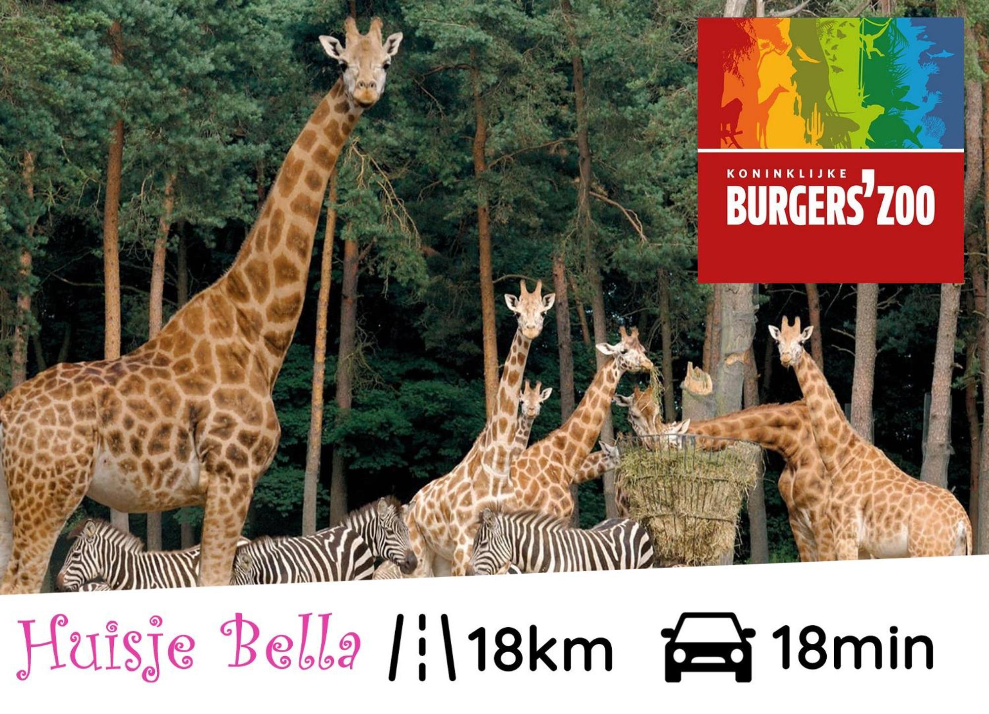 Chalet Huisje Bella Op De Veluwe Max 2 Volwassene Beekbergen Esterno foto